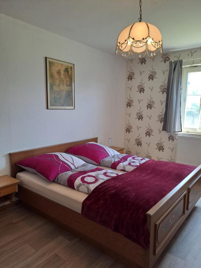 Keller'S Ferienwohnung An Der Saale Schwarzenbach an der Saale Экстерьер фото
